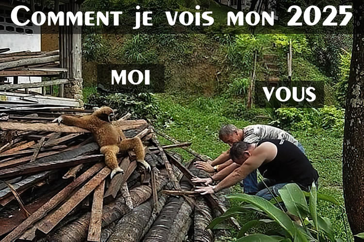 image drole 2025 : Comment je souhaite que ma nouvelle année soit