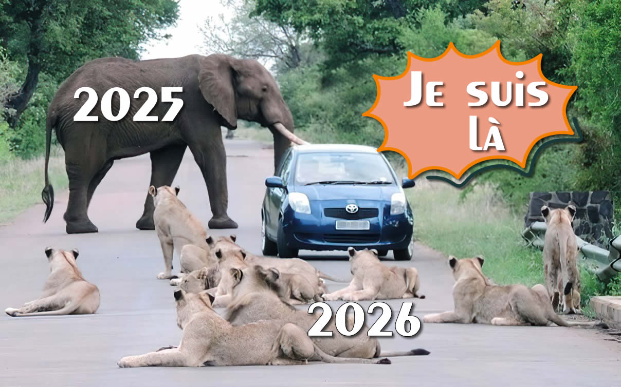 Image drôle Je suis entre 2025 et 2026