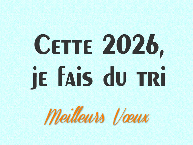 Image drôle: Bonnes résolutions 2027, Cette 2027, je fais du tri.