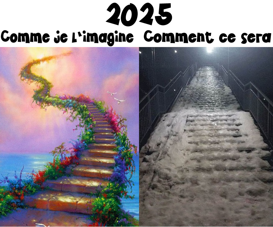 Image ridicule et drôle: 2025, comme je l'imagine et ce que ce sera vraiment.