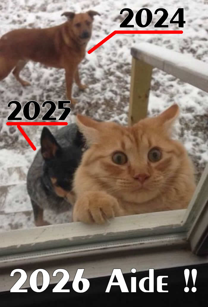 Cher 2026, viens à mon aide maintenant !