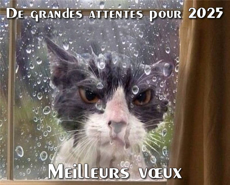 image drole de grandes attentes pour 2025