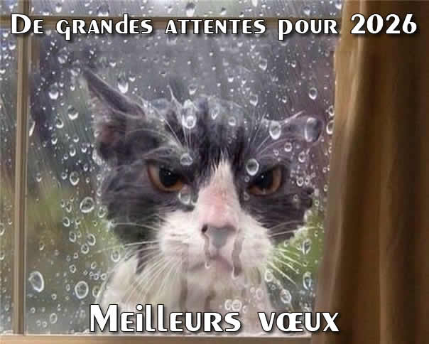 Attendons avec impatience 2026