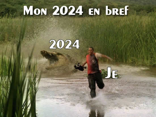 Image : À quoi ressemblait mon année 2024, résumée brièvement