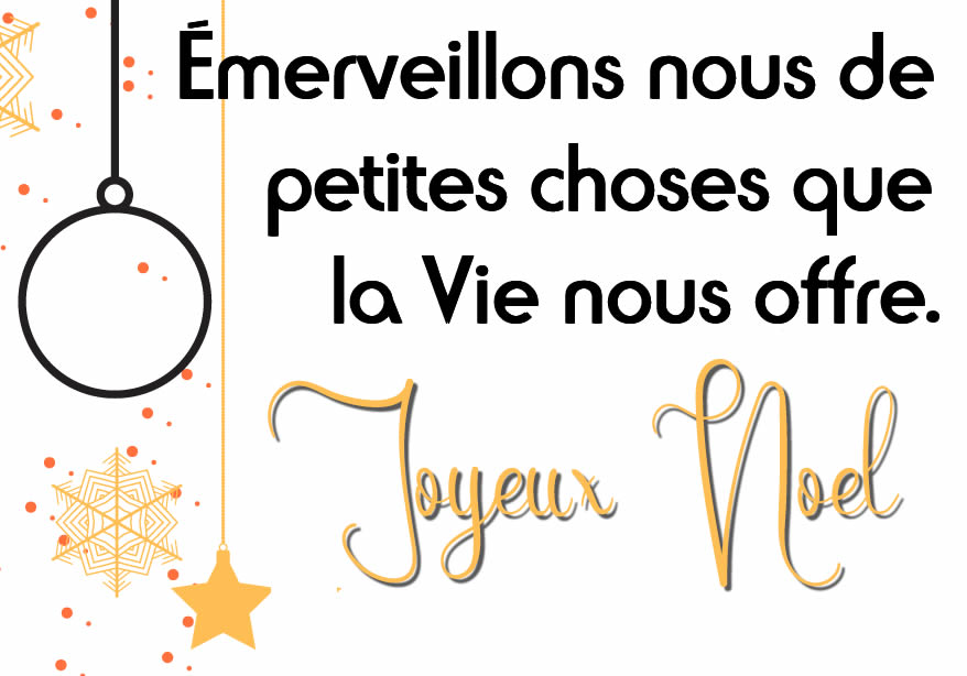 Image avec texte : Émerveillons nous de petites choses que la Vie nous offre. Joyeux Noël 