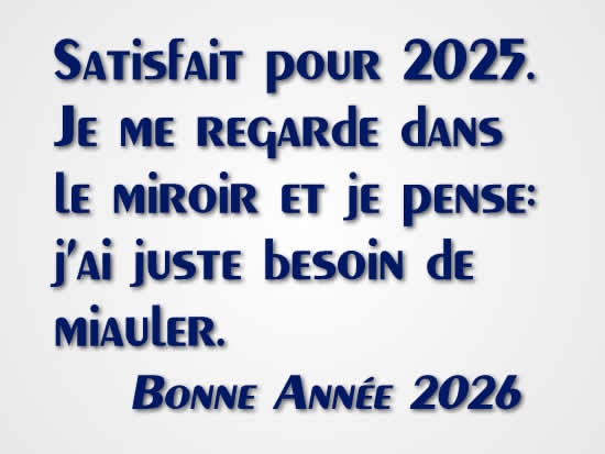 joyeux noël et bonne année pétillante