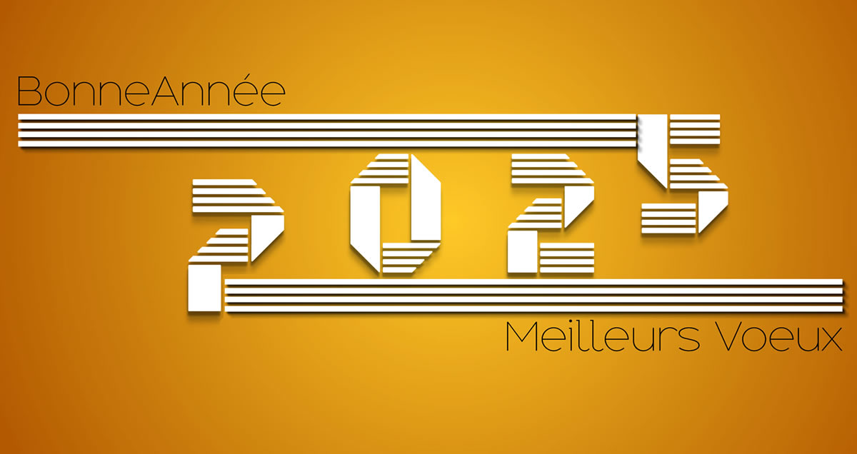 Image 2025 Bonne année meilleurs voeux