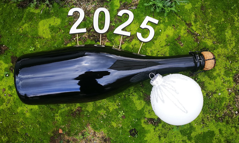 bouteille de champagne avec 2025