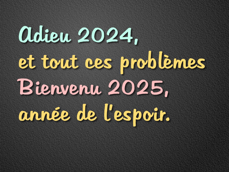 Vœux Adieu 2024, Bienvenu 2025