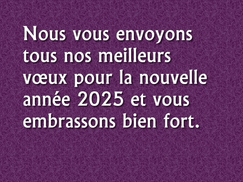 meilleurs vœux pour la nouvelle année 2025