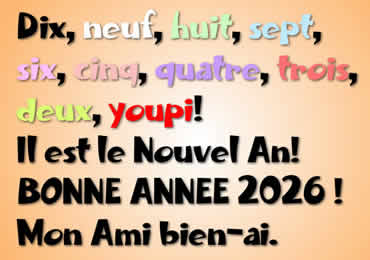 bonne annee mon am bien ai